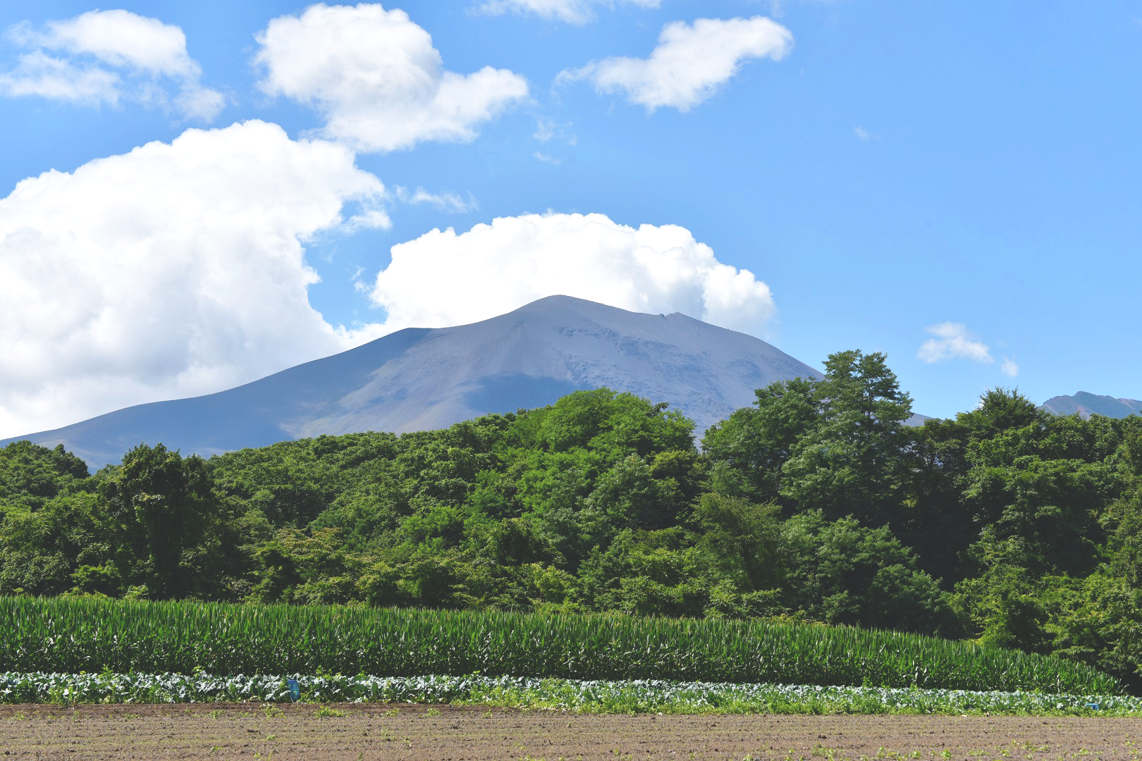 くるみの森キャンプ場の風景